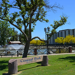 Courier Service Irvine