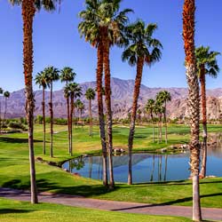 Courier Service Palm Springs